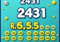 Timemania 2431