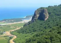 Concurso Câmara de Pau dos Ferros