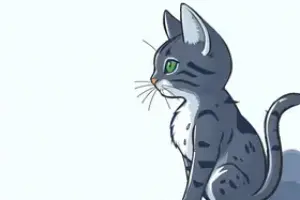 Concurso Catu BA