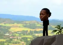 Tamandaré