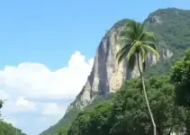 concurso público Belo Jardim