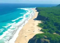 concurso Câmara Pernambuco