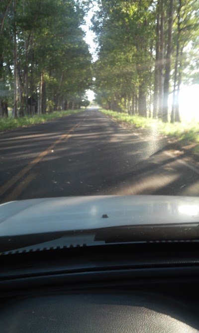 Câmara Municipal de bataguassu foto 1