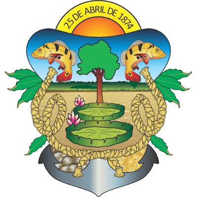 Câmara Municipal de itacoatiara foto 4