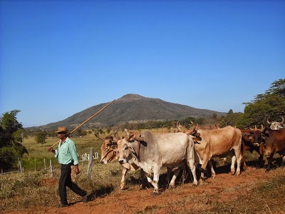 Câmara Municipal de morro da garça foto 1